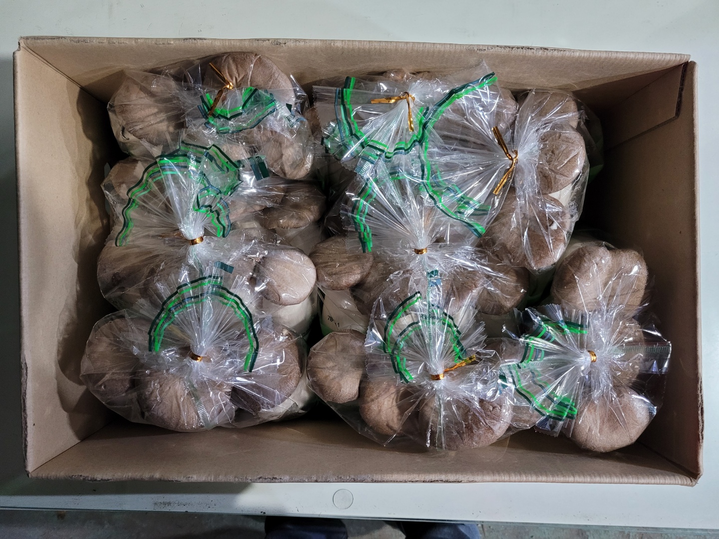 f9bca937322adccc58334f71ce3a766b_1653115938_8016.jpg f9bca937322adccc58334f71ce3a766b_1653115938_8016.jpg