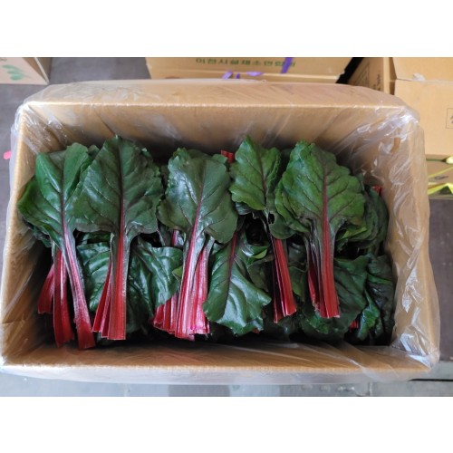 4498656ebc29756d132b12f8c461ac5d_1672971240_2434.jpg 4498656ebc29756d132b12f8c461ac5d_1672971240_2434_1681443769_1411011001_1711830961_104542110.jpg