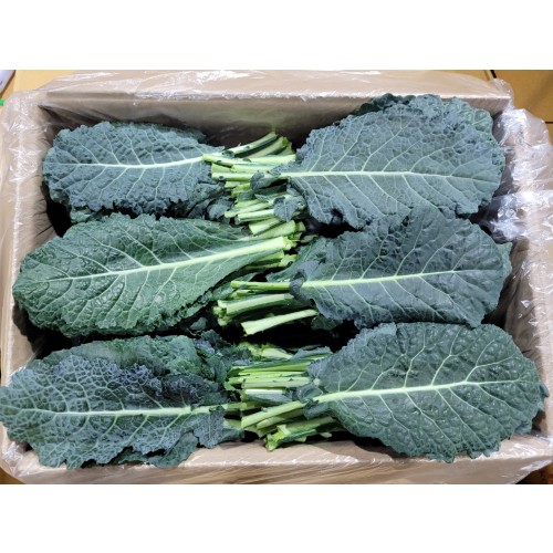 4498656ebc29756d132b12f8c461ac5d_1672971306_7469.jpg 4498656ebc29756d132b12f8c461ac5d_1672971306_7469_1681443771.jpg