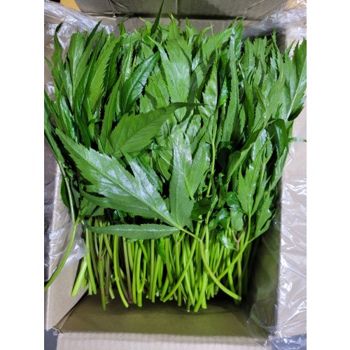 4498656ebc29756d132b12f8c461ac5d_1672971412_8022.jpg 4498656ebc29756d132b12f8c461ac5d_1672971412_8022.jpg