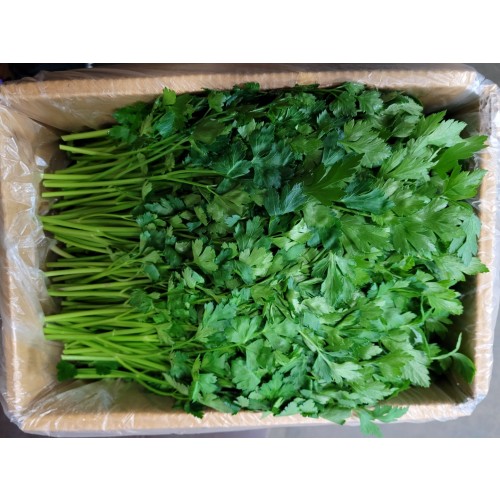 4498656ebc29756d132b12f8c461ac5d_1672972112_2001.jpg 4498656ebc29756d132b12f8c461ac5d_1672972112_2001.jpg