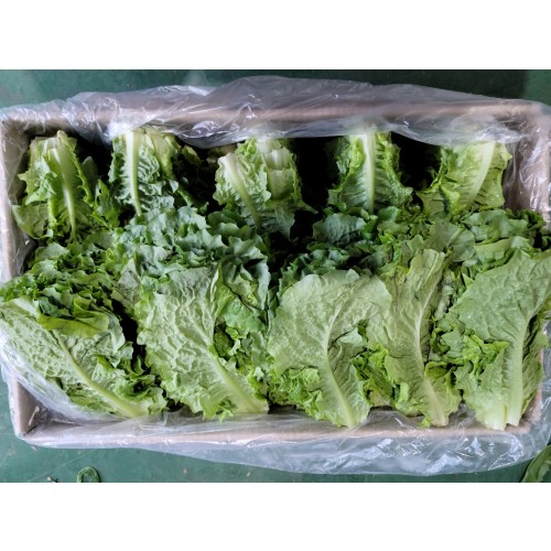 4498656ebc29756d132b12f8c461ac5d_1672973173_21.jpg 4498656ebc29756d132b12f8c461ac5d_1672973173_21.jpg