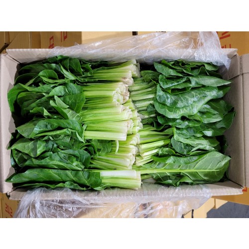 4498656ebc29756d132b12f8c461ac5d_1672983820_1113.jpg 4498656ebc29756d132b12f8c461ac5d_1672983820_1113.jpg